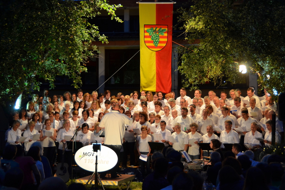Projektchor "MGV#110"