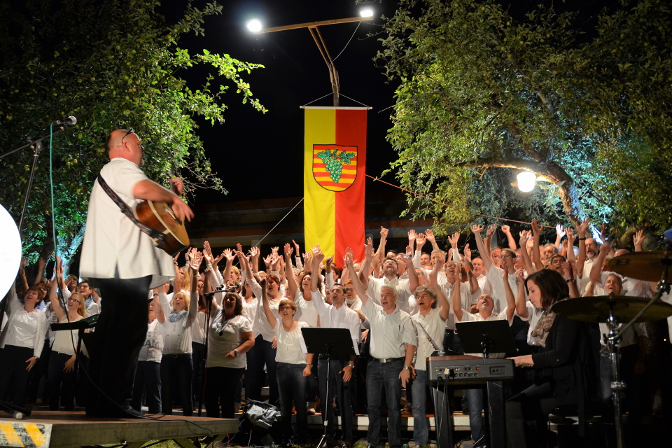 Projektchor "MGV#110"